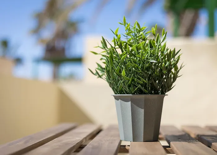 Apartament Rio Barca